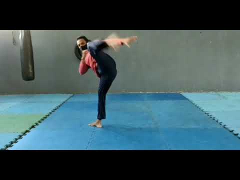 Variações de movimentos de capoeira,ataque,defesa e floreio