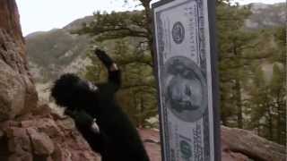 Let's Art - HD, Matt Backer from the album: Idle Hands