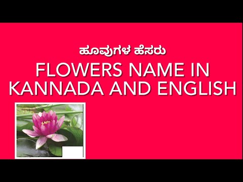 Flowers Name in English and Kannada ||Learn Flowers for Kids