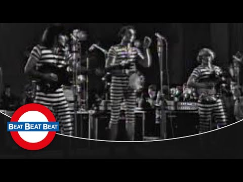 The Rainbows - Louie, Louie (1966)