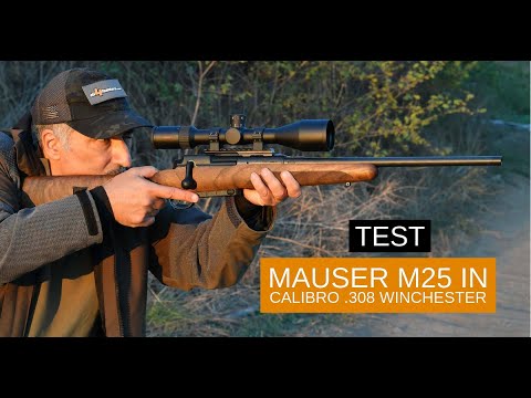 mauser: Mauser M25 in calibro .308 Winchester: la carabina da caccia ad otturatore lineare definitiva 