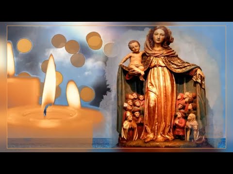 33 SCHRITTE - 33 Tage mit Maria zu Jesus! 16. TAG