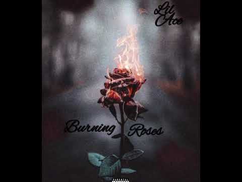 Lil Ace x Burning Roses (Official Audio)