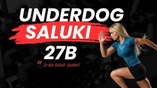 Underdog Saluki 27B 1.0 Locally: Beyond Qwen and GSQ+RCO