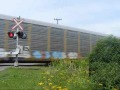 CN Dartmouth Freight July 29 2011