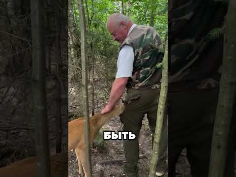 Самые Удивительные и Трогательные Моменты с Животными! 🐻🐢