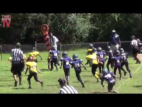 TwinSportsTV: Decatur Army Camo vs. Dekalb Yellow Jackets 8U Football
