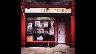 Viva Brother - Darling Buds Of May