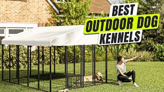 3 BEST Outdoor Dog Kennel