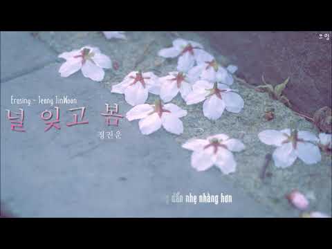 [VIETSUB] ERASING (널 잊고 봄)  - JEONG JINWOON