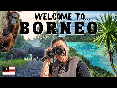 This 7-Day Sabah Itinerary Changed How We See Borneo