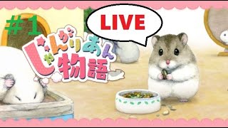 実況＃１【じゃんがりあん物語】癒しのハムちゃんを育てて幸せ【初見さん歓迎】