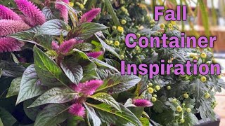 Fall Container Inspiration | EverCrest