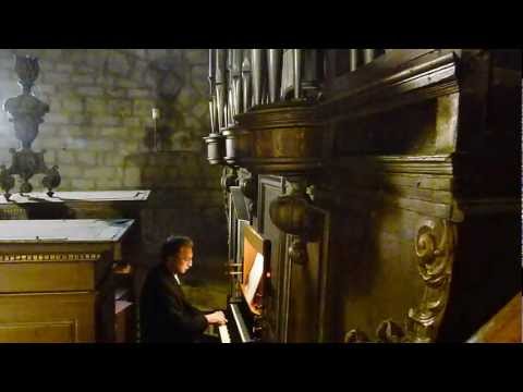 Vierge de lumière V 223  J.ANTZENBERGER N.DARROS Pierre ASTOR orgue Schwenkedel Neufchateau