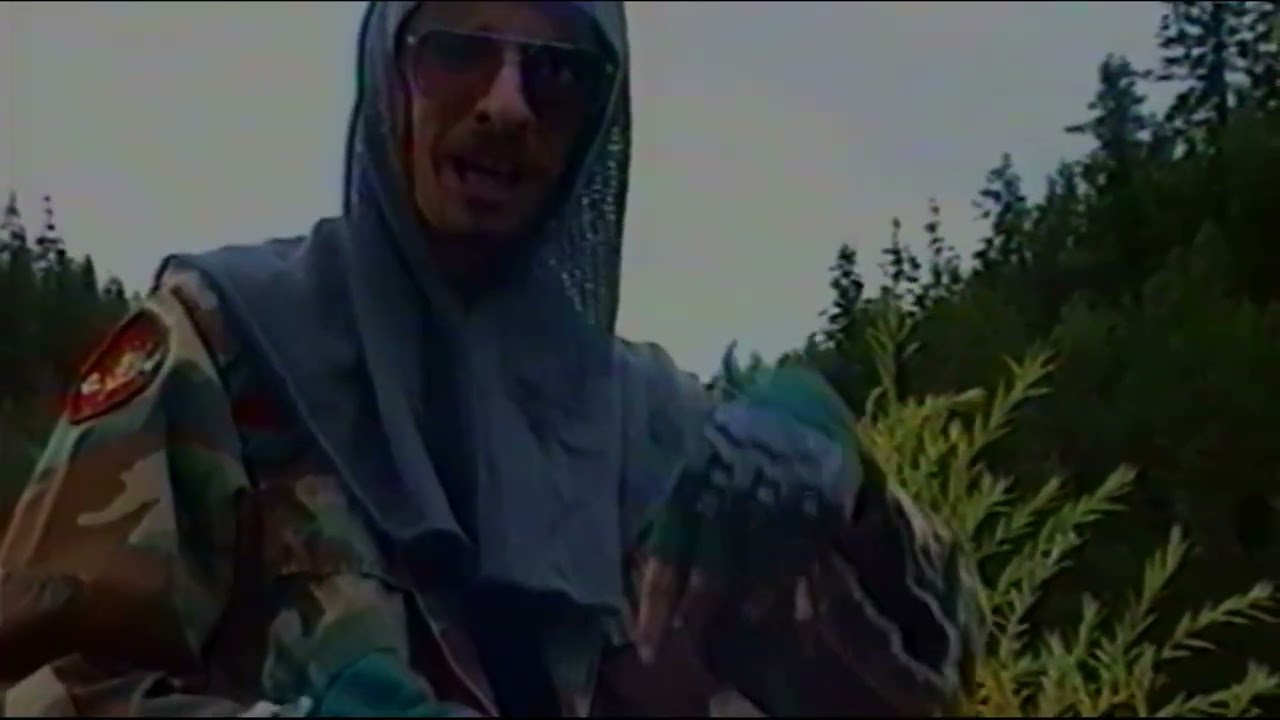 Jousting in the pond (1995)