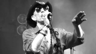 ALABAMA 3 - THE OLD PURPLE TIN - BEARDED THEORY 2015 -