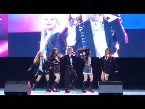 Roller Coaster / Berry Berry / Blackberry unit / Nippon Haku 2022 / Siam Paragon /2-9-2022