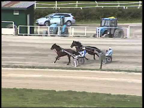 Trotto 12/03/2015 - prova di qualifica