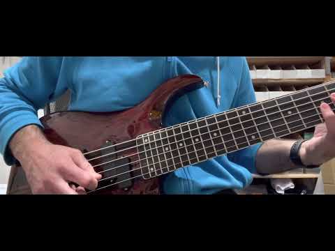 PHRED instruments Panda 6-string Shot Scale Bass 2023 - Transparent brown image 14