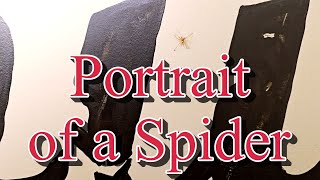 PORTRAIT OF A SPIDER is poem I wrote about a small, skinny spider and the inspiration behind it.