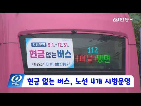 [안동 현장 리포트] 8월 31일, 현금 없는 버스, 노선 4개 시범운영