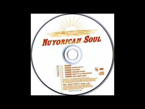 Nuyorican Soul featuring India - Runaway (Remixes)