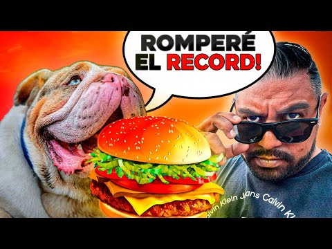 RESTAURANTE DE PERROS cocinan 🍔