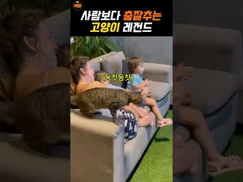 아이콘