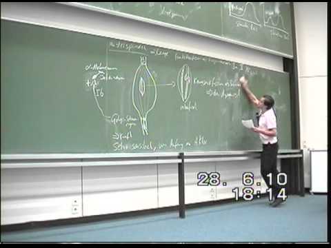 Physiologietutorium 12 - Säuren-Basen-Haushalt
