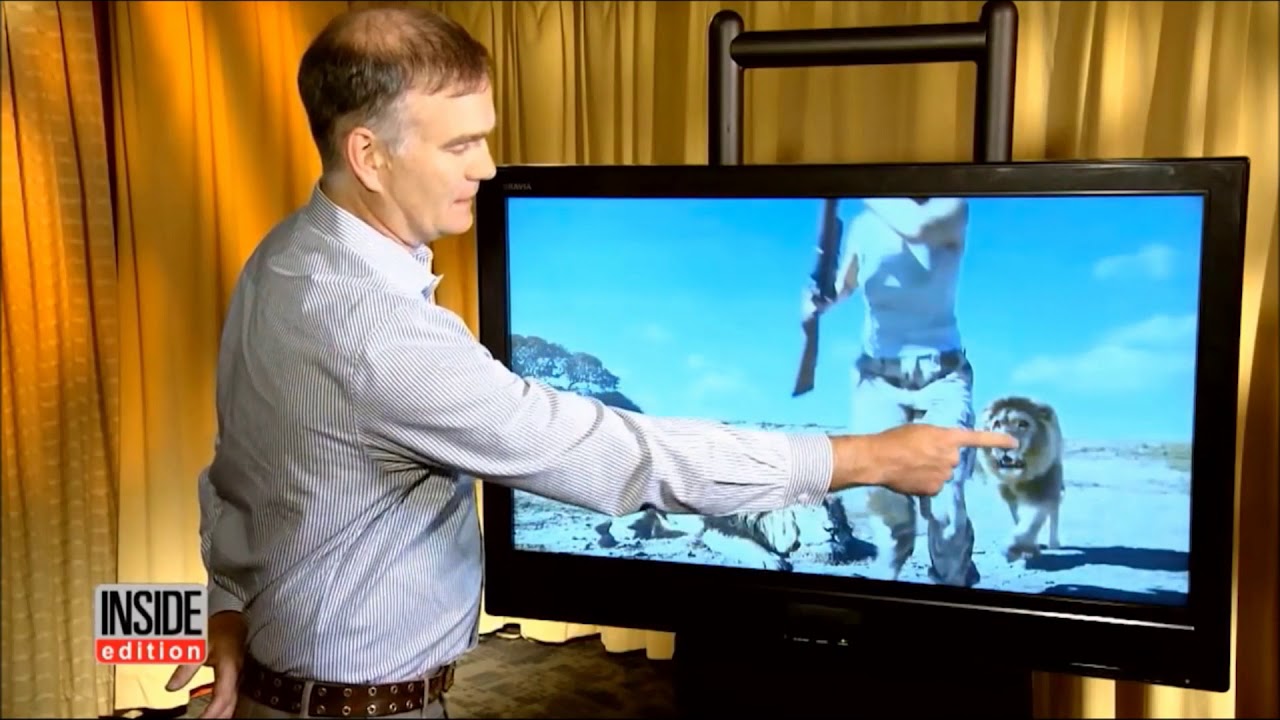 The Viral Experment, The Woolshed Co