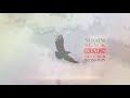 Nissim Black Ft Menachem Weinstein Wings Audio