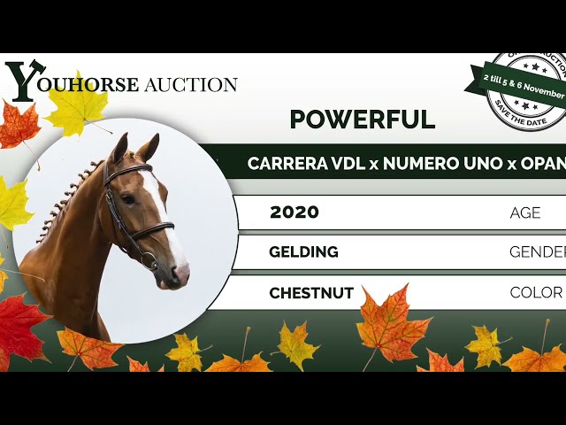 Powerful trainingsvideo