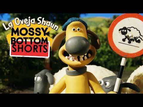 Parado - Mossy Bottom Shorts - La Oveja Shaun