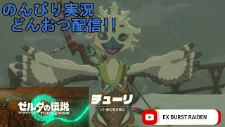 どんおつ配信「ゼルダの伝説 ティアーズオブザキングダム」12