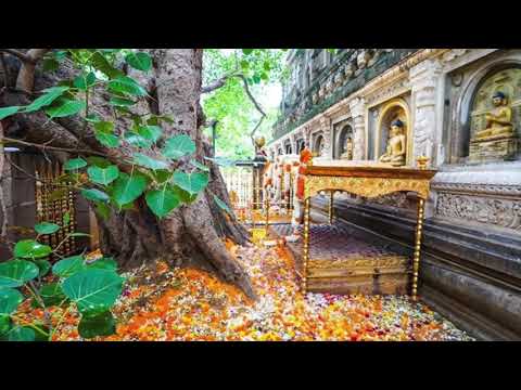 The Long Discourses: Sutta 15 - Mahānidāna Sutta: The Great Discourse On Causation