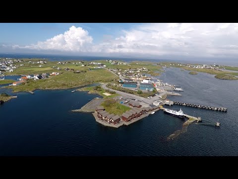 Meeresangeln auf Kvitsøy 🐟 fishing in Norwegen