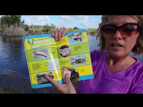 Alligators and Crocodiles read aloud from Everglades National Park