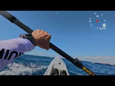 Downwind Epic V7 SURCAMAR