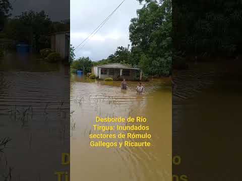 #Cojedes Desborde de Río Tirgua: Inundados sectores agrícolas de Rómulo Gallegos y Ricaurte. #Shorts