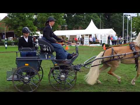 Fahrturnier Ostenfelde 19.8.2017