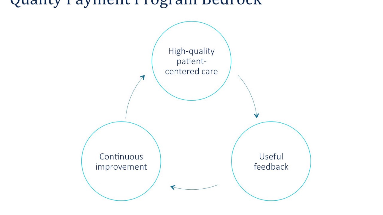What is the Quality Payment Program?