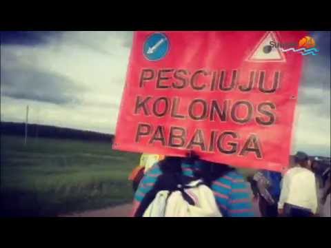 Z pielgrzymami do Wilna Z pielgrzymami do Wilna