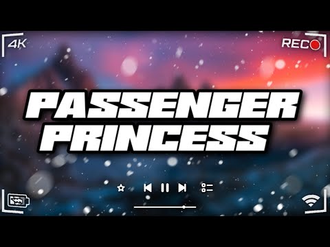 Passenger Princess | 2025 Clean Dancehall Mix - King Effect (Valiant, Vybz Kartel, Ayetian, Kraff)