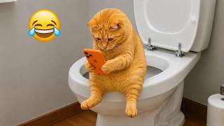 腹筋崩壊🤣 猫のおもしろ動画まとめ2026 😹 笑ったら負け！