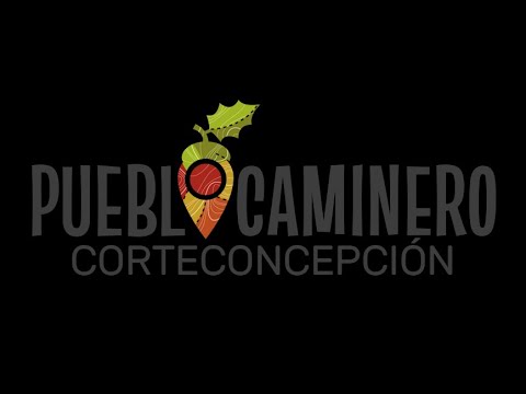 CORTECONCEPCIÓN - VÍDEO PROMOCIONAL 2020