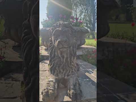 Tulip Garden - a rainbow explosion of colours & joy! Best. Day. Ever! Sparkling memories forever!"