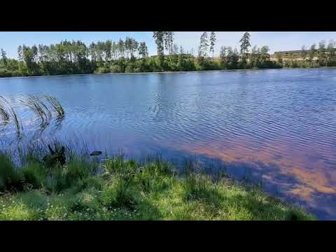 SÄNKSJÖN i Kallinge - nära F17 - 2022-06-29 - RONNEBY - Blekinge