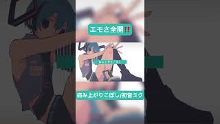 エモさ全開‼️病み上がりこぼし/初音ミク #shorts #初音ミク #vocaloid #ボカロ
