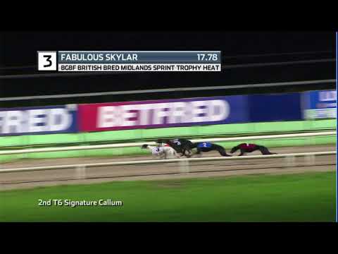 2020 BGBF SPRINT - HEAT 2 - T3 FABULOUS SKYLAR