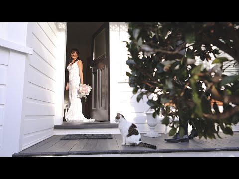 Kiwi Eyes video.